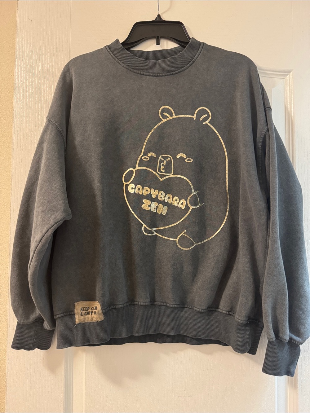 Zara Capybara Zen Graphic Crewneck - Charcoal size 13-14